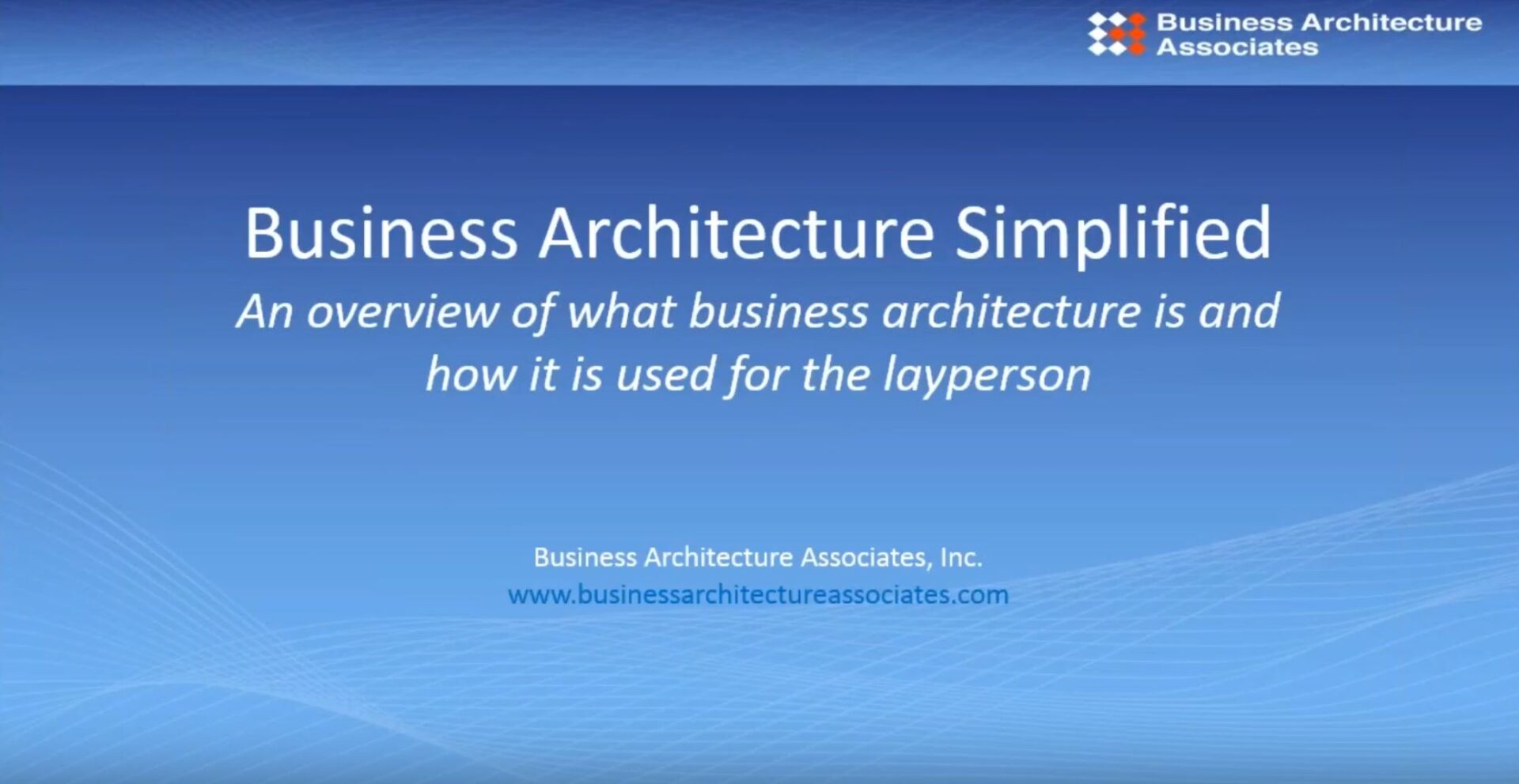 BIZ ARCH SIMPLIFIERED